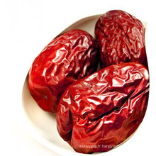 dattes rouges sucrées chinoises de haute qualité